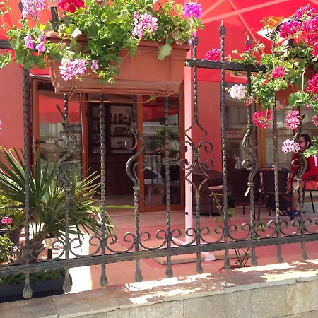 Niki House بيت ضيافة *